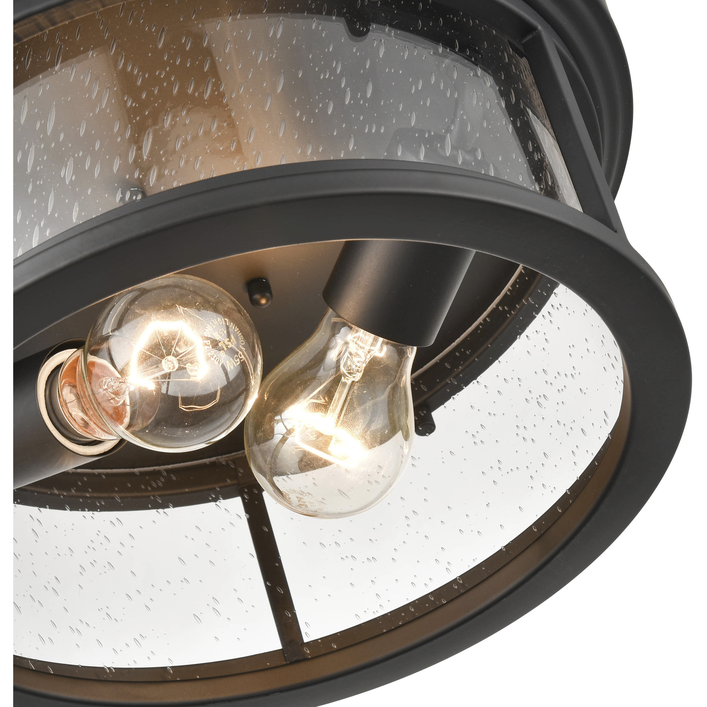 Bresley 2 Light 12 inch Powder Coated Black Outdoor Flush Mount